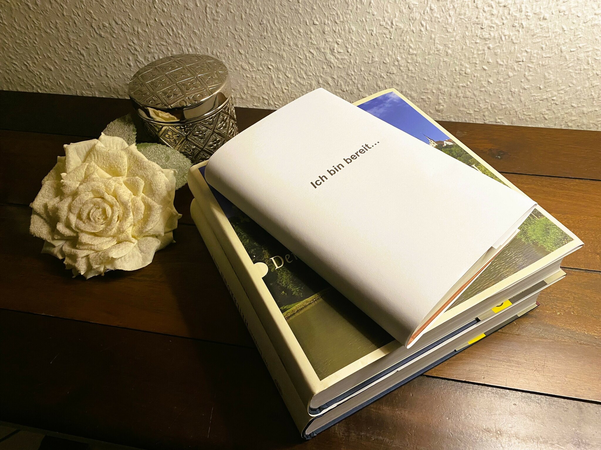 Ich bin bereit... Möge ein schönes, gutes Buch entstehen Bad