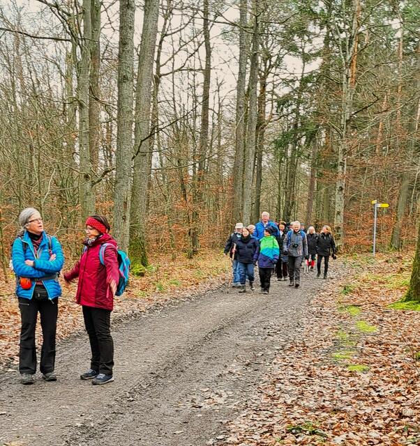 Auf dem Mittleren Fuchsbergweg Richtung Kleingartacher Steinbruch. | Foto: Isolde Reitz