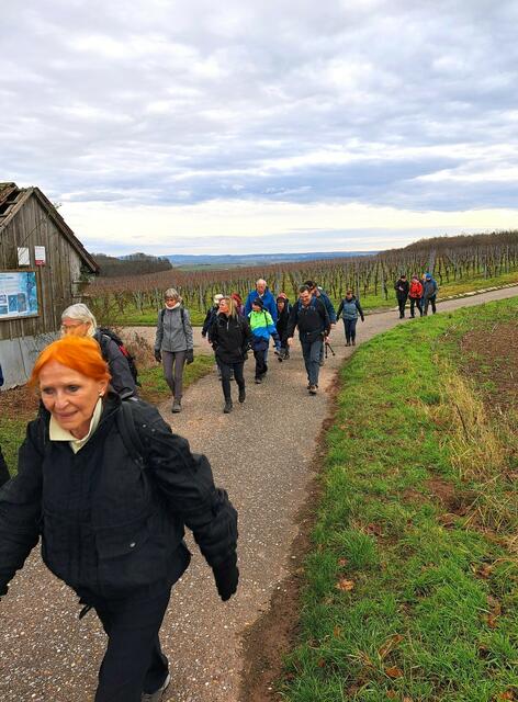 Abmarsch vom Wanderparkplatz Wanderdreiklang bei Neipperg. | Foto: Isolde Reitz