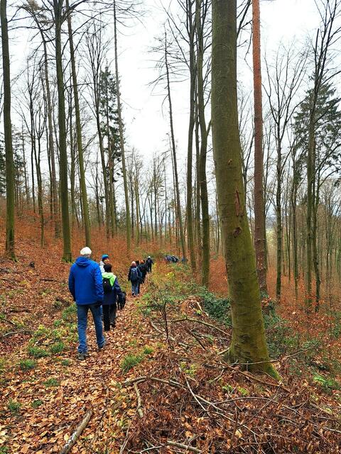 Es geht abwärts Richtung Lochberg. | Foto: Isolde Reitz
