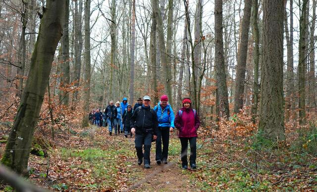 Entlang des Plochinger Weges Richtung Zweifelberg. | Foto: Isolde Reitz