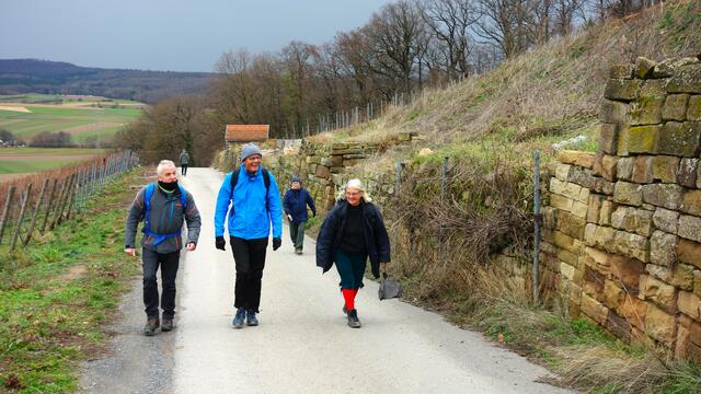 Die 2020 angefangene Rebflurbereinigung am Lochberg, bei der 100 Tonnen Sandsteine für neue Trockenmauern verarbeitet wurden. | Foto: Isolde Reitz
