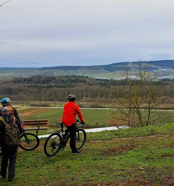 Blick vom Zweifelberg Richtung Eibensbach und dem Stromberg, mit dem Michaelsberg im Hintergrund. | Foto: Isolde Reitz