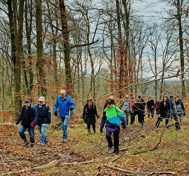Abenteuerliche Abkürzungen im Lochwald. | Foto: Isolde Reitz