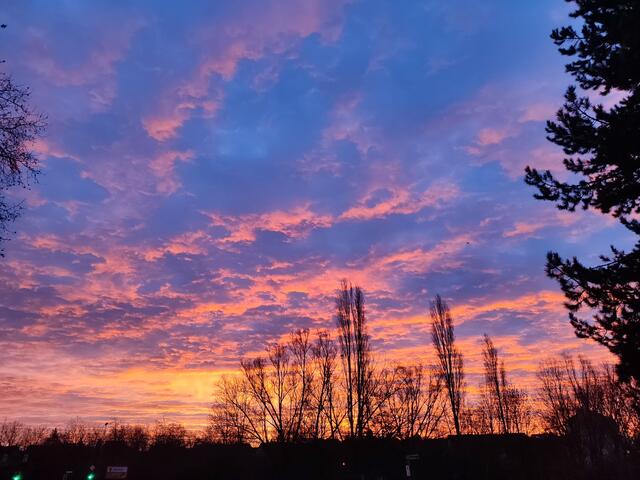 Diese Aufnahme vom Silvestermorgem ließ Optimismus aufkommen, da konnte man sich gut zum Wandern verabreden, das Wetter würde halten. | Foto: Aurelia Kling