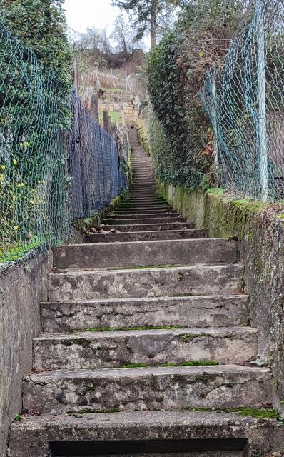 Ein kurzer, aber knackiger Anstieg formt den Po und bringt den Kreislauf in Schwung | Foto: Aurelia Kling