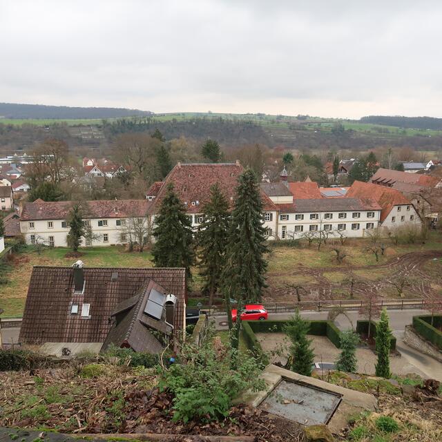 Foto: Eduard Warenik