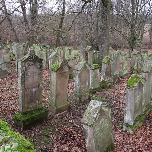 Foto: Eduard Warenik