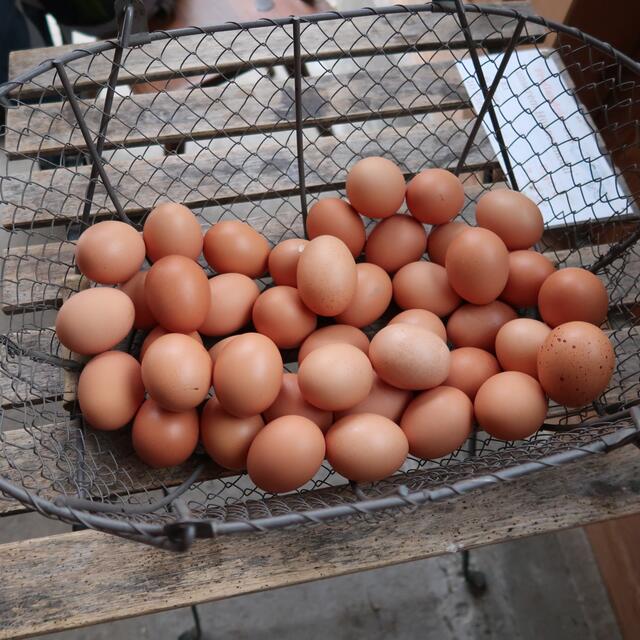 Foto: Eduard Warenik