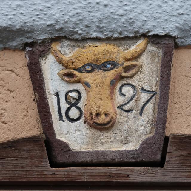 Foto: Eduard Warenik