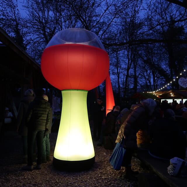 Foto: Eduard Warenik