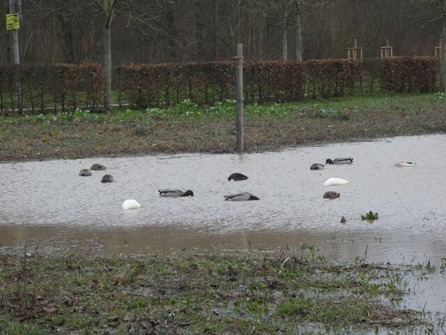 Foto: sigischlottke