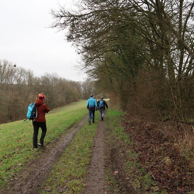 Foto: Eduard Warenik