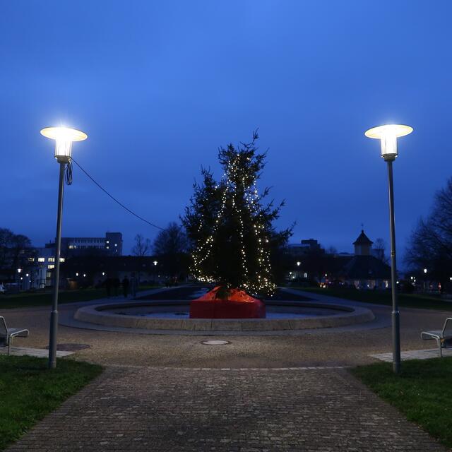 Foto: Eduard Warenik