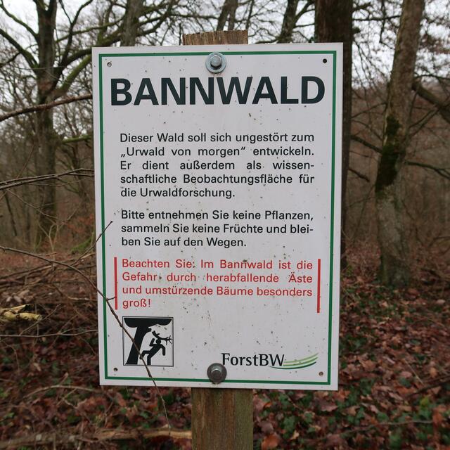 Foto: Eduard Warenik