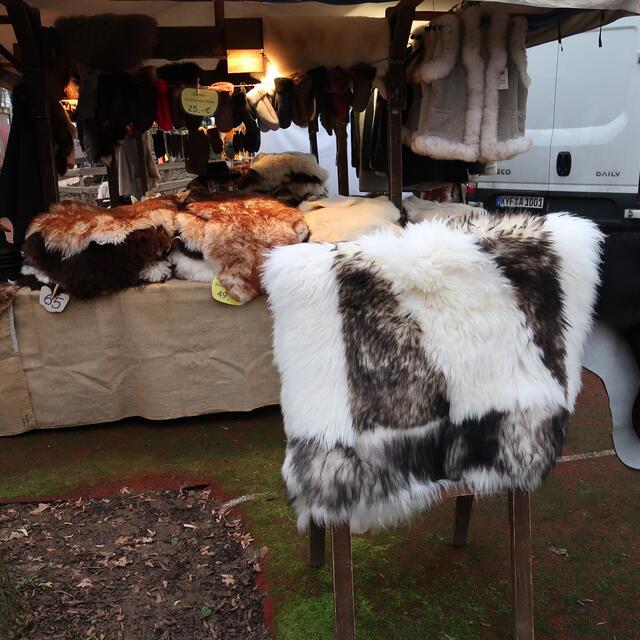 Foto: Eduard Warenik