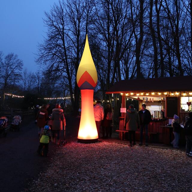 Foto: Eduard Warenik