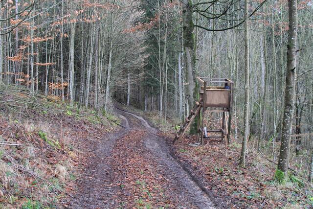 und weiter, bissle matschig wird es | Foto: Ralf Röser