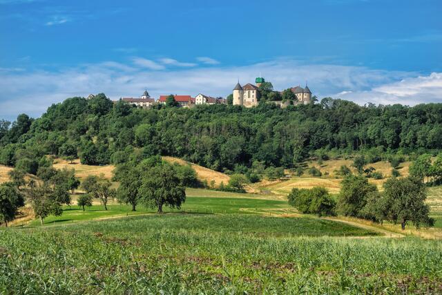 Waldenburg im Sommer. | Foto: Rüdiger Reingräber
