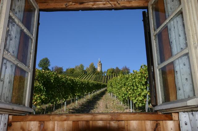 Der Heuchelbergturm im Sommer. | Foto: Helmut Schadt