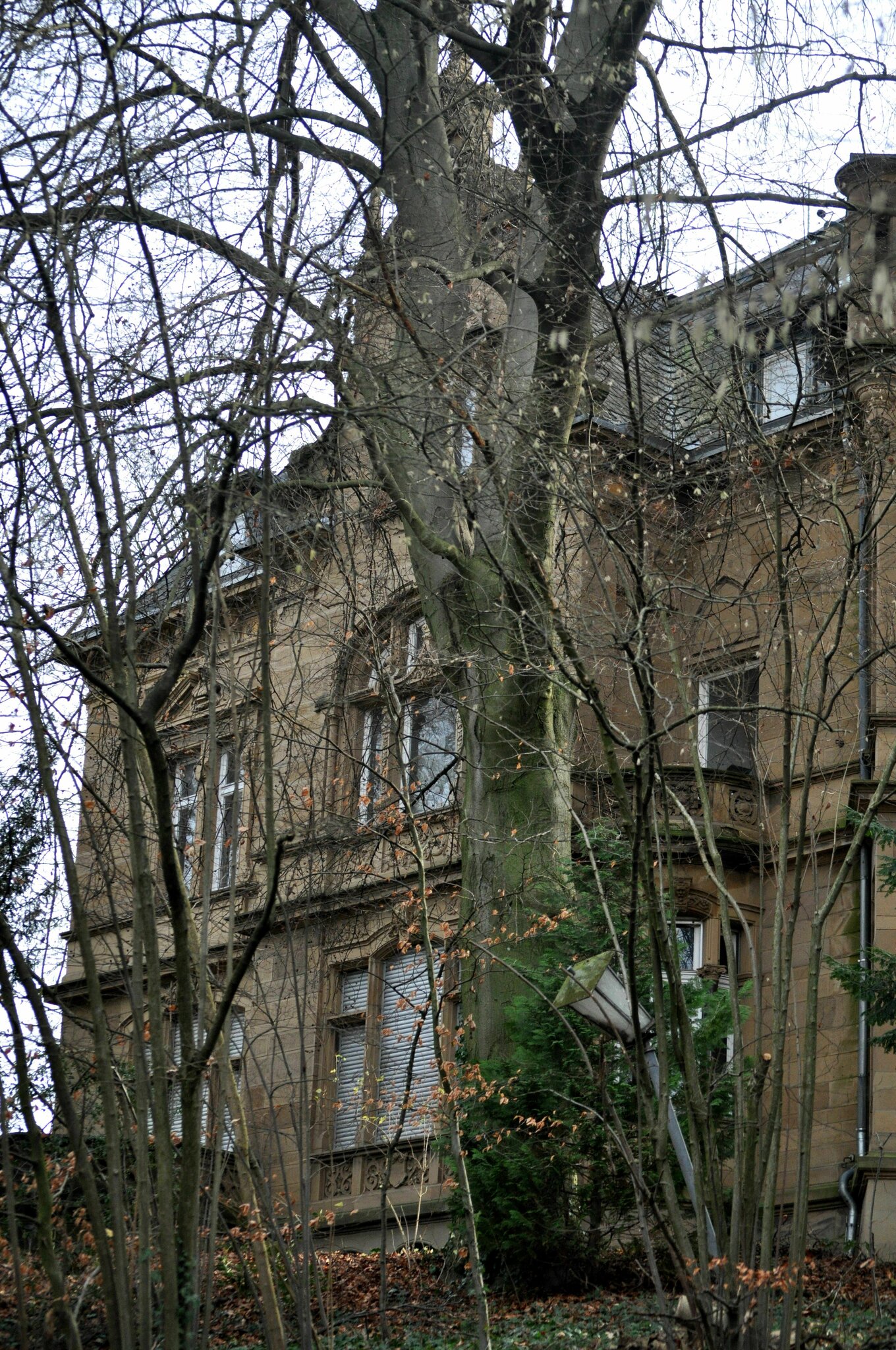 Heilbronns Historische Häuser Die Villa Frau Alfred Knorr Heilbronn