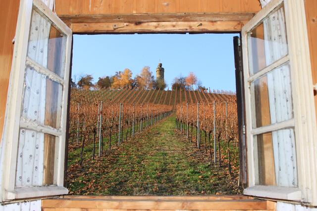 Der Heuchelbergturm im Herbst. | Foto: Helmut Schadt