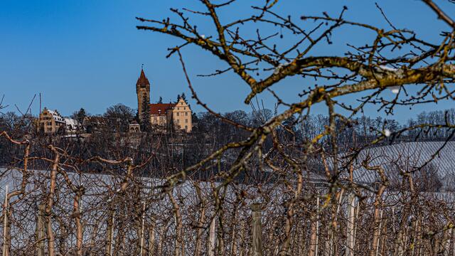 Schloss Stocksberg im Winter. | Foto: Erwin Weigend
