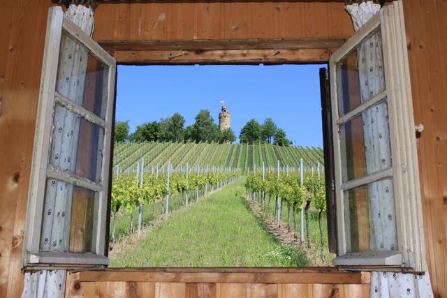 Der Heuchelbergturm im Frühling. | Foto: Helmut Schadt