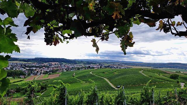 Der Blick vom Staufenberg im Herbst. | Foto: Ulrich Rank
