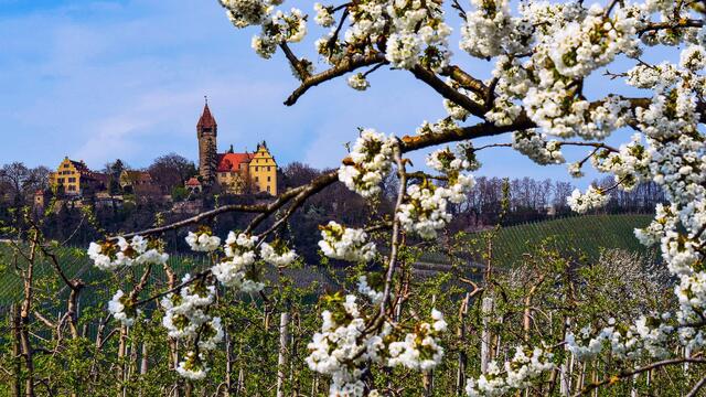 Schloss Stocksberg im Frühling. | Foto: Erwin Weigend