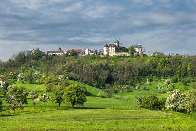 Waldenburg im Frühling. | Foto: Rüdiger Reingräber