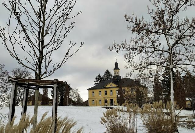 Zwischen den Bäumen des 2008 neu angelegten Salinenparks steht das wunderschöne historische Salinengebäude. Auch im Winter ein toller Blickfang.  | Foto: sigischlottke
