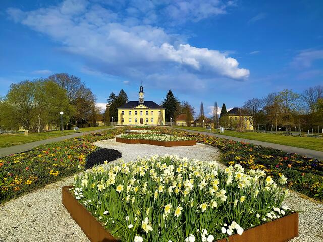 Alt & Neu In Bad Rappenau und Umgebung Bad Rappenau