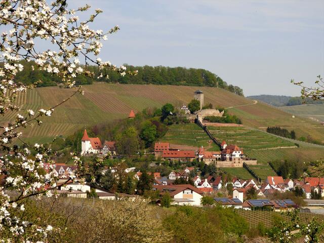 Unterhalb der Burg Hohenbeilstein und anderer historischer Gebäude sind die neueren Häuser von Beilstein , teilweise mit Solaranlagen zu sehen.  | Foto: sigischlottke