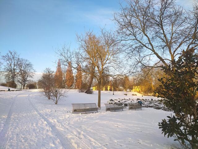 Hinter den Bäumen lugt das Gelb der Salinengebäude hervor.  | Foto: sigischlottke