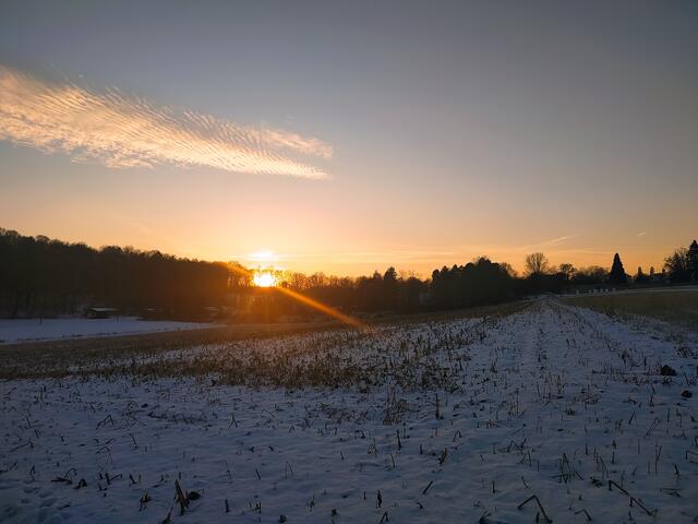 Die Sonne versinkt hinter den Bäumen und taucht den Himmel in warme, sanfte Farben. - Ein wunderschöner Spaziergang an diesem Wintertag geht zu Ende.  | Foto: sigischlottke
