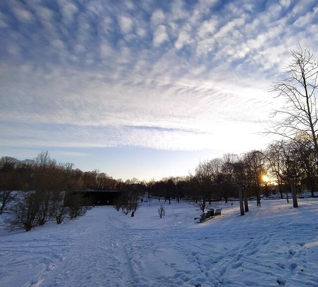 Unten das Gradierwerk im weißen Salinenpark und oben ein spannender Himmel. | Foto: sigischlottke