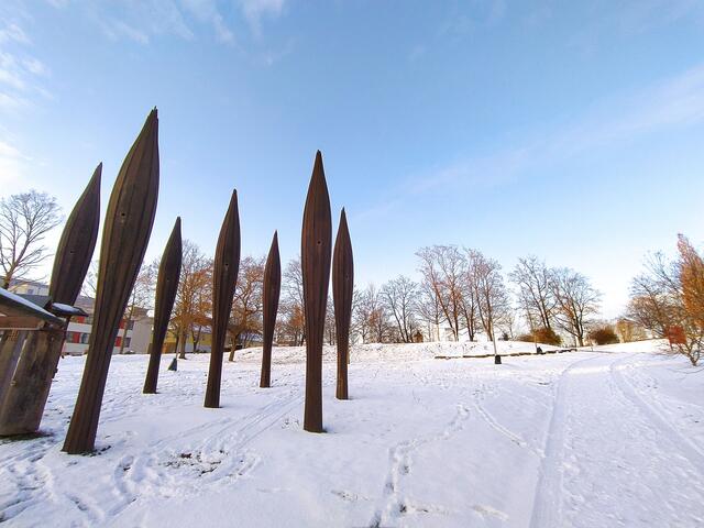 In der weißen Winterlandschaft sind die dunklen "Bienenhäuser" sehr prägnant.  | Foto: sigischlottke