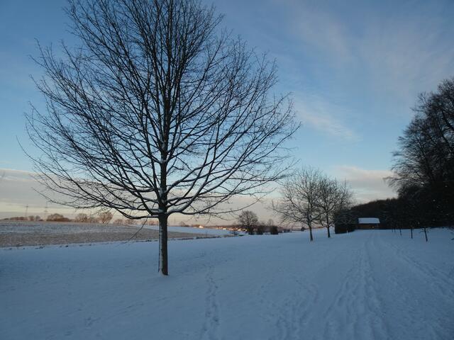 Auf dem Heimweg  | Foto: sigischlottke