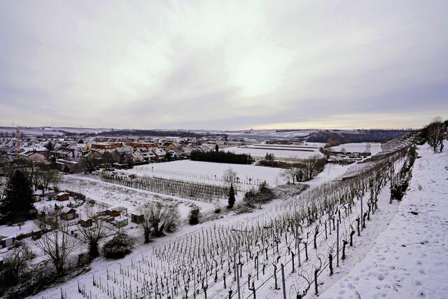 Foto: Ulrich Seidel