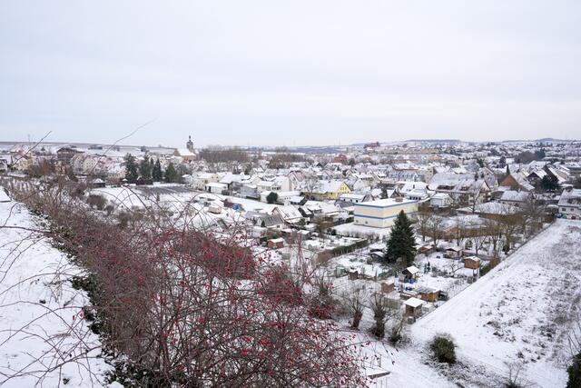 Foto: Ulrich Seidel