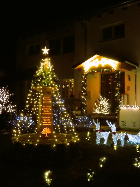 Foto: sigischlottke