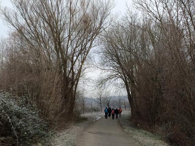 Immer an der Sulm entlang und an Binswangen vorbei.  | Foto: sigischlottke