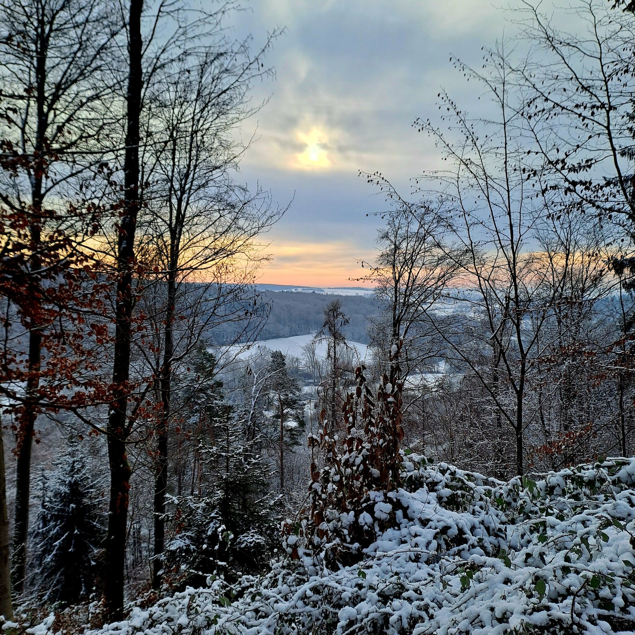 Schone Weather Bad Rappenau Ebenbild