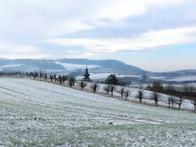Die Kirchturmspitze der Binswanger Kirche lugt aus der Landschaft.  | Foto: sigischlottke