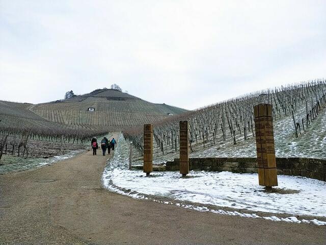 Auf dem Weg zum Scheuerberg.  | Foto: sigischlottke