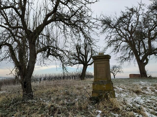Ein Wegekreuz bei Binswangen.  | Foto: sigischlottke