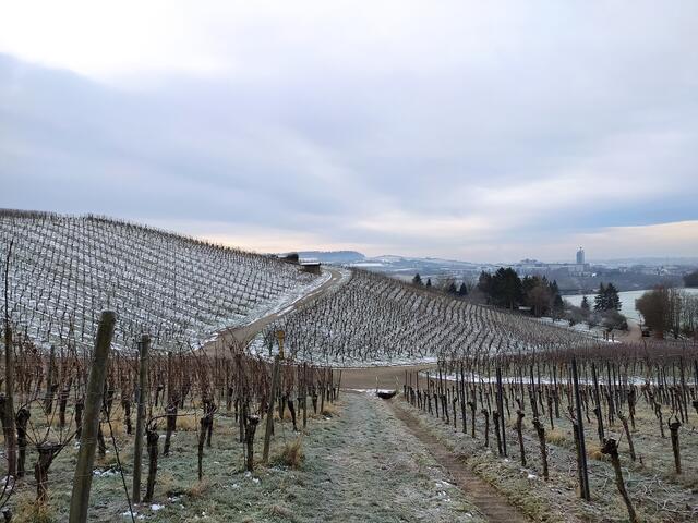 Die Rückblicke sind schon fantastisch.  | Foto: sigischlottke