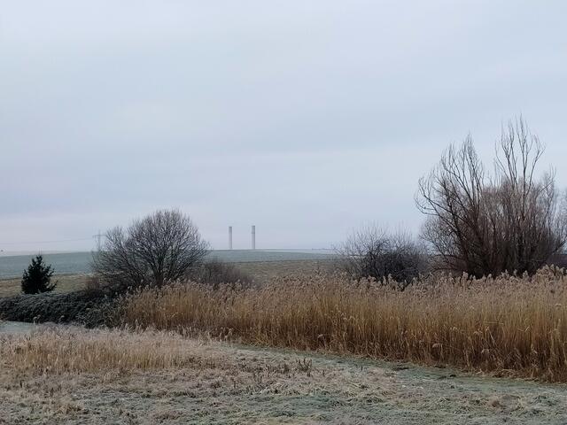 Die Gräser sind wunderschön mit Rauhreif bedeckt - in der Ferne die Kamine des Kohlekraftwerks Heilbronn. | Foto: sigischlottke