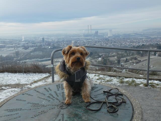 Fotoshooting mit Lilly muss immer sein :-) | Foto: sigischlottke